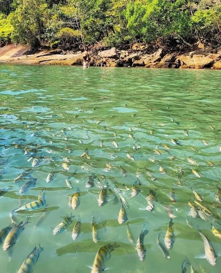 Praia Grande Ubatuba Casa Nova 5D Eksteriør billede